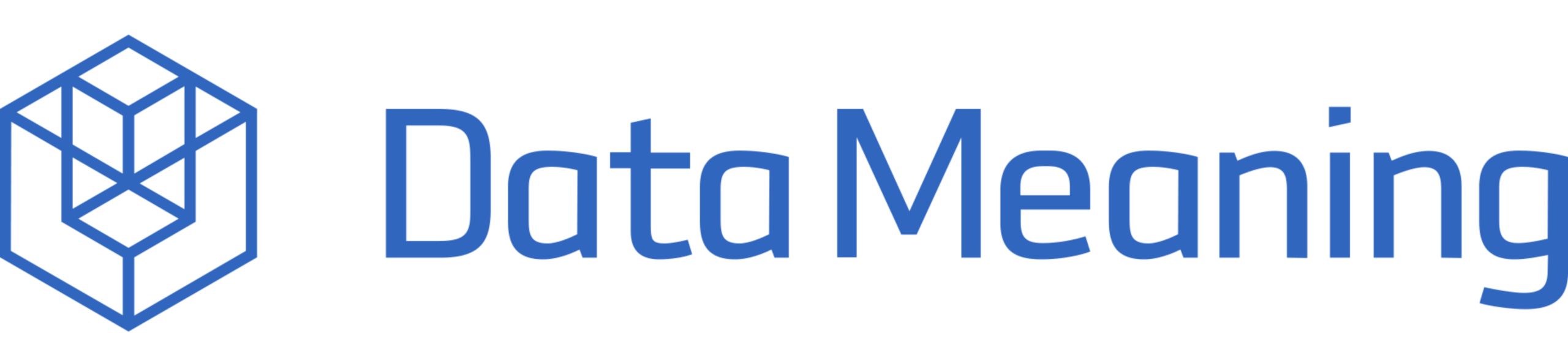 Data Meaning logo